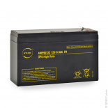 BATTERIE PLOMB ETANCHE SW200 / NPX24-12