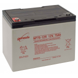 BATTERIE PLOMB ETANCHE ENERSYS NP75-12 - 12V 75Ah